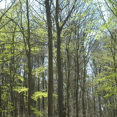 Apartamento Am Graal-Mueritz